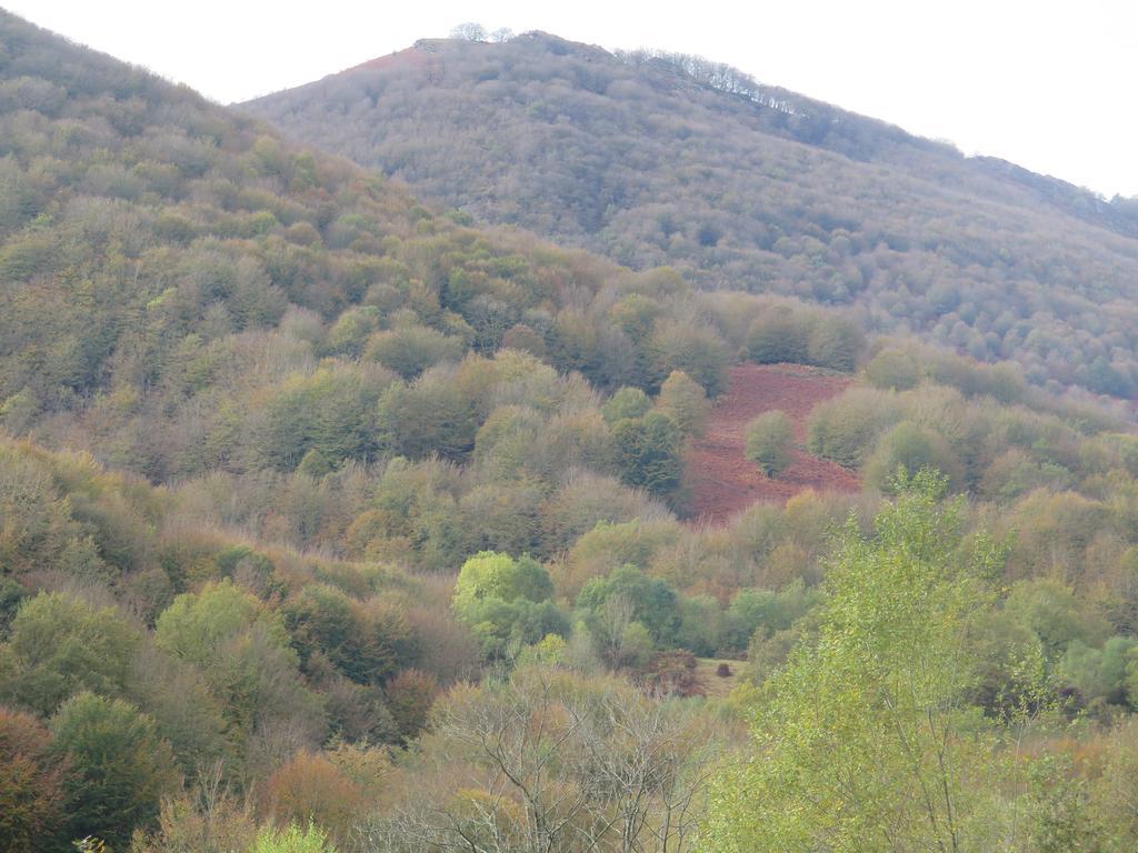 Urruska Elizondo
