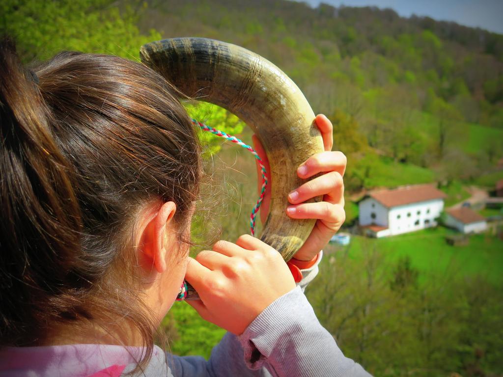 Urruska Gospodarstwo wiejskie Elizondo