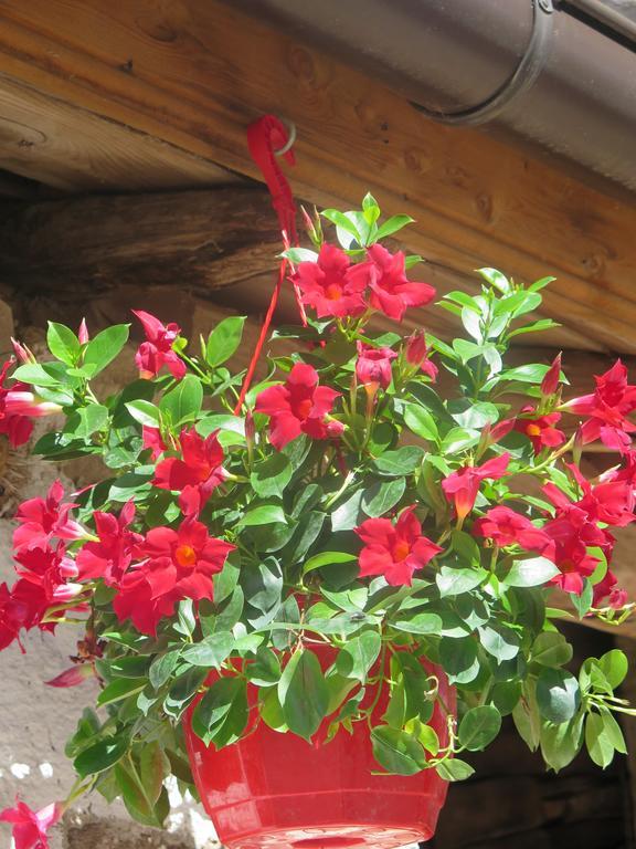 Urruska